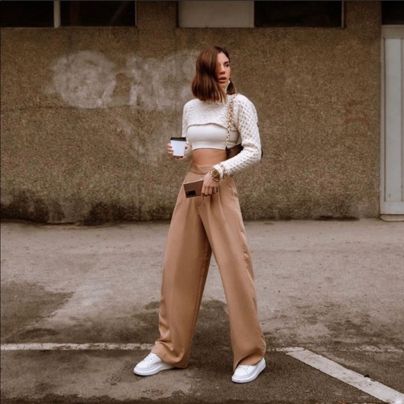 Zara Pleated Wide Leg Pants - Picture 9 of 16